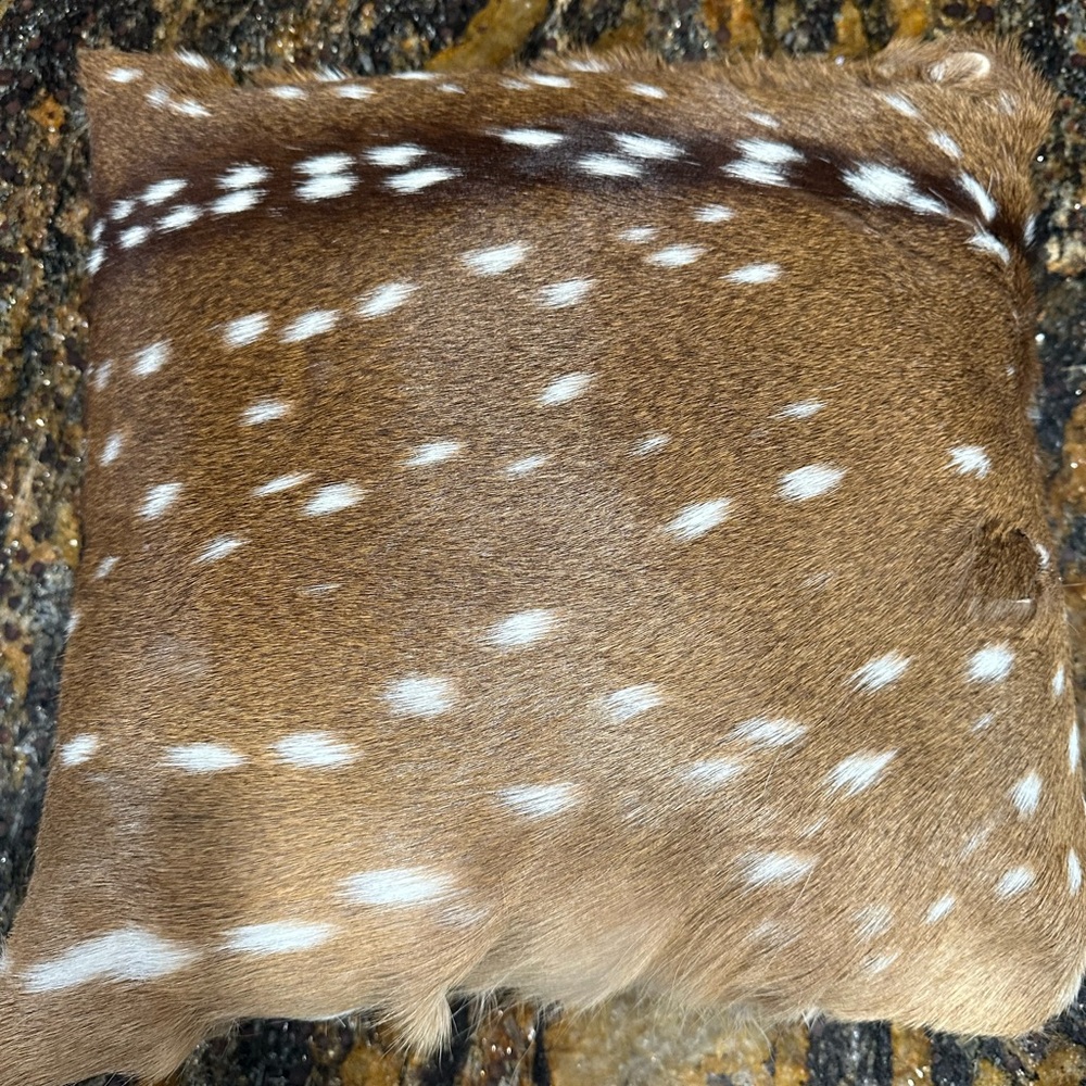 Axis hide Pillow